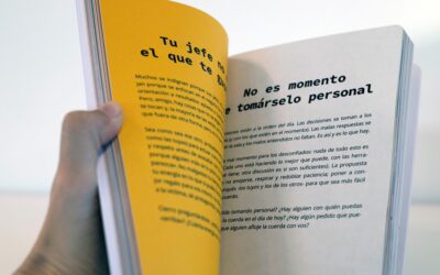 diseñoeditorial_Reflexionesdeunañotrabajandoenpantuflas_Melina_Jajamovich_06 Melina Jajamovich