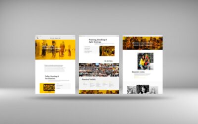 web_design_agile.jpeg_02 Agile