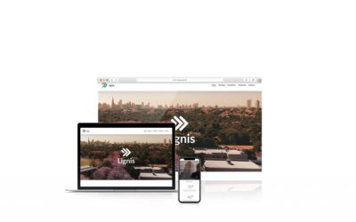 web_design_lignis_01 Lignis