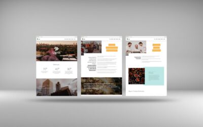web_design_lignis_02 Lignis